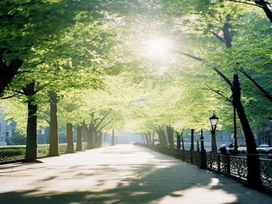 Solig promenad i tidiga morgontimmar längs en grön stadspromenad